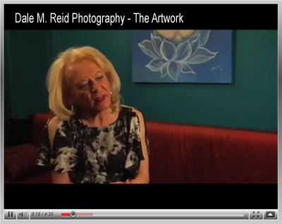 Dale M. Reid Photography - youtube videos