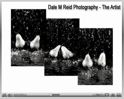 Dale M Reid Photography - youtube videos