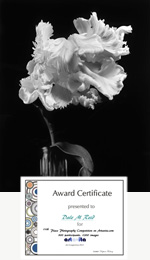 Dale M. Reid Photography. Artavita award certificate