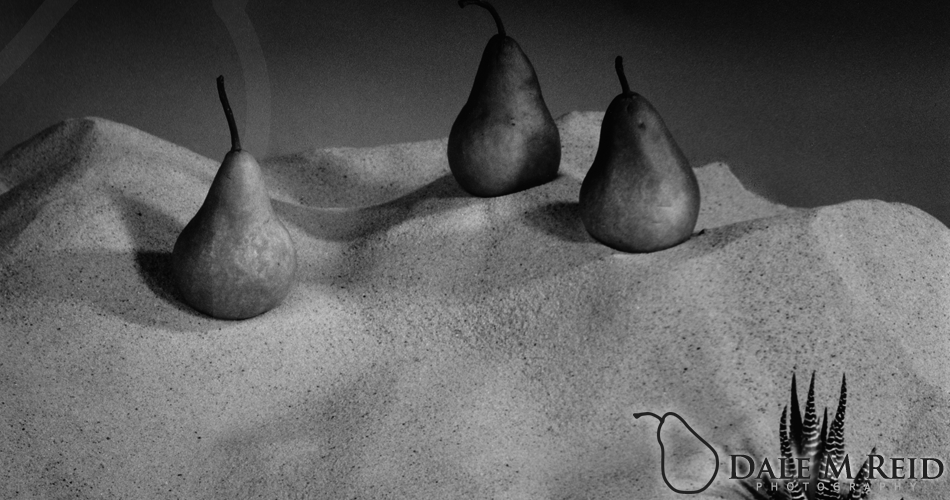 Dale M. Reid Photography. Dessert Pears #1. 2009. Still life detail