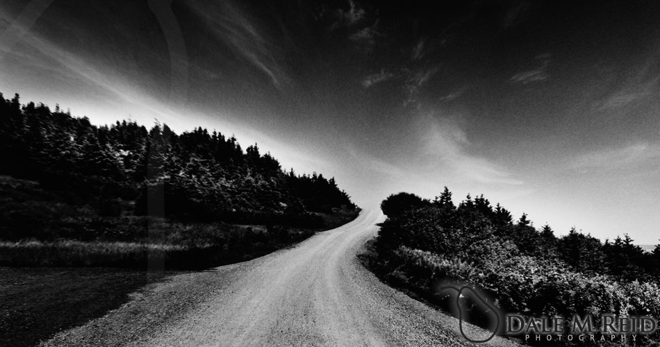 Dale M. Reid Photography. Road To The Sky. 2005. Landscape detail
