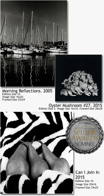 Dale M. Reid Photography. Three nominations, Still Life, Professional category at the 11th Annual Black & White Spider Awards