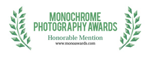 Dale M. Reid Photography. Monochrome Photography Awards 2017