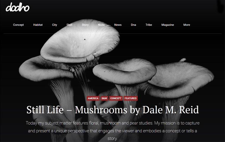 dale m reid contemporary fine art photography. Dodho Online Magazine