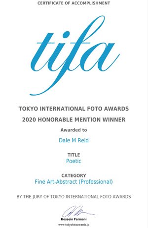 dale m reid contemporary fine art photography. Honorable Mention TOKYO International Foto Awards - 2020 Fine Art Abstract