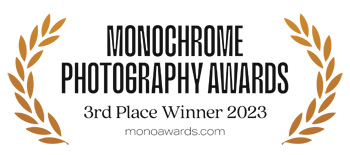 dale m reid. monochrome award