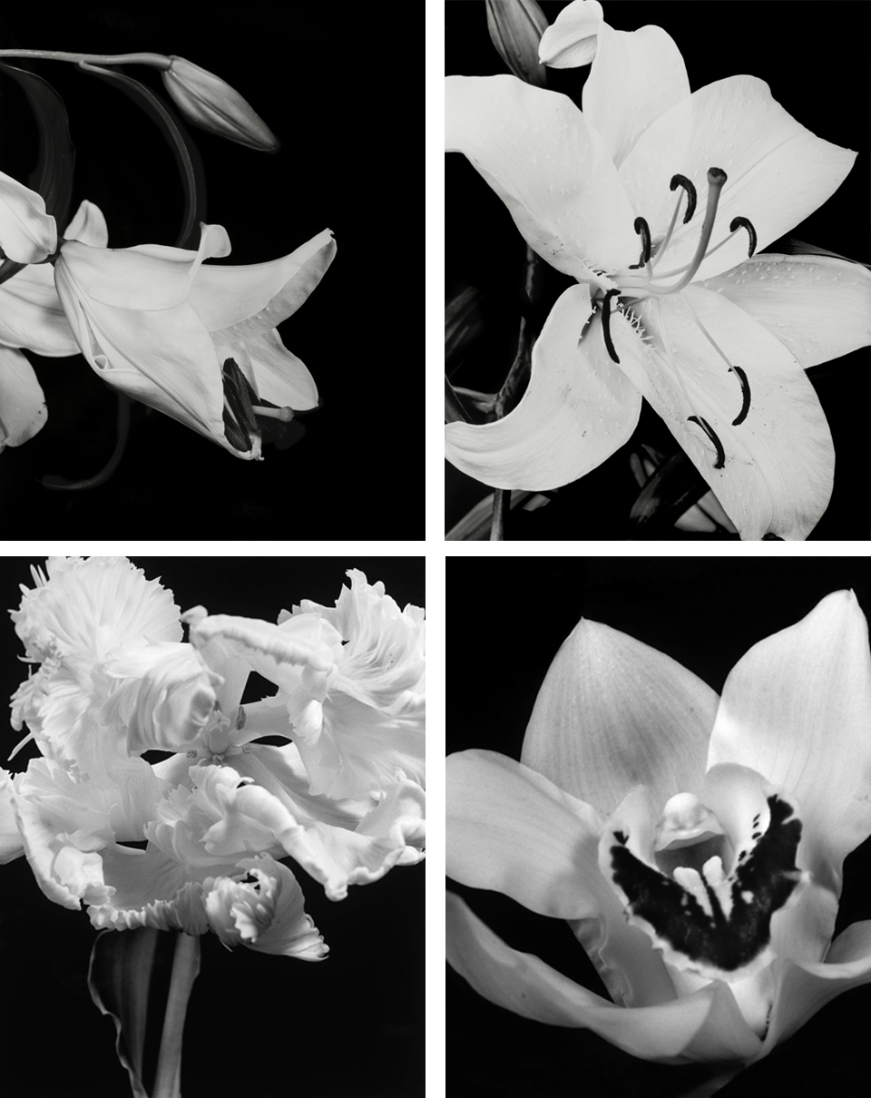 Dale M. Reid Contemporary Fine Art Photography - ART Santa Fe
