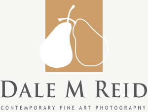 Dale M. Reid Photography