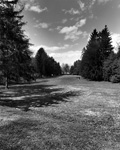 Meadow, Toronto, 2009. Edition Size 10. Image Size 16 x 20. Framed Size 25 x 29.