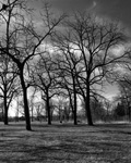 Parkland View to Lake - View 1, Toronto. 2009. Edition Size 10. Image Size 16x16. Framed Size 25x25.