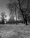 Parkland View to Lake - View 2, Toronto. 2009. Edition Size 10. Image Size 16x16. Framed Size 25x25.