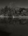Humber River Reflections, Toronto. 2006. Edition Size 10. Image Size 16x20. Framed Size 25x29.