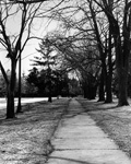 Walkway to Cumberland House, Toronto. 2009. Edition Size 10. Image Size 16x20. Framed Size 25x29.